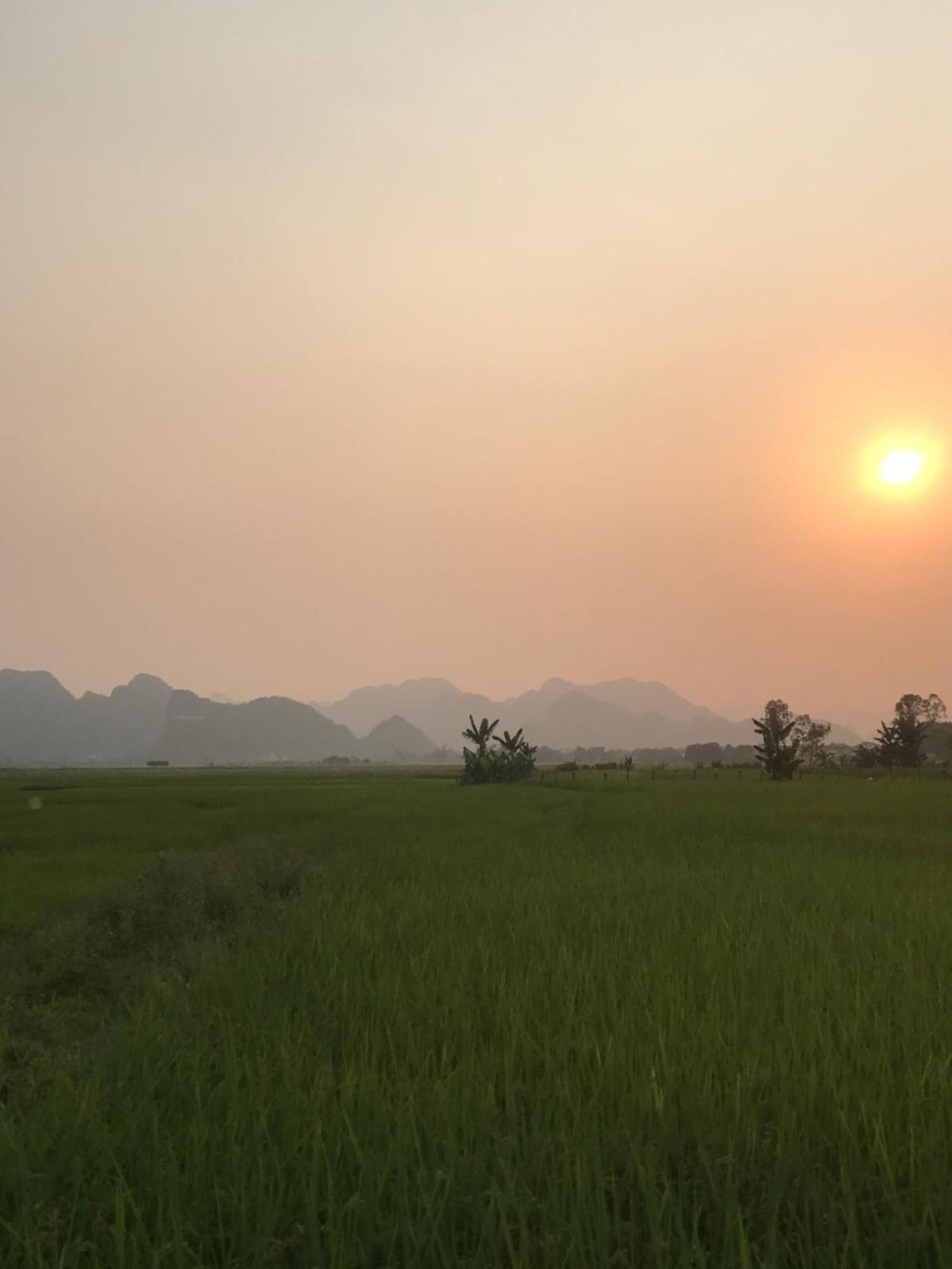 Happy Field Homestay Phong Nha Dış mekan fotoğraf